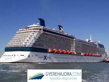 CELEBRITY SILHOUETTE  - 