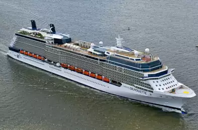 CELEBRITY SILHOUETTE