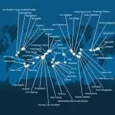 Italy, France, Spain, Portugal, The Azores, United States, Florida (USA), Mexico, USA, Hawaii, Polynesia, Fiji, Australia